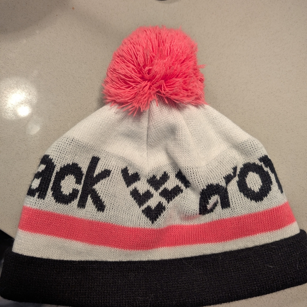 Black crows beanie